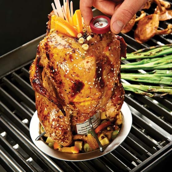 Βάση Ψησίματος BROIL KING Chicken Grill Base & Thermometer 69132 image 1