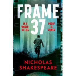 Frame 37 (Hardback)