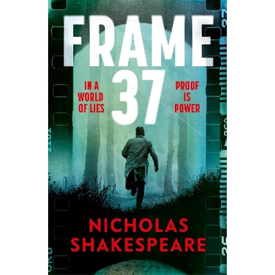 Frame 37 (Hardback) image 0