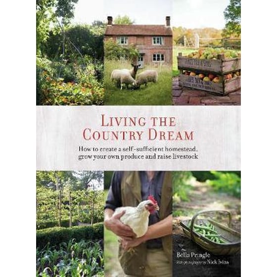 Living the Country Dream image 0