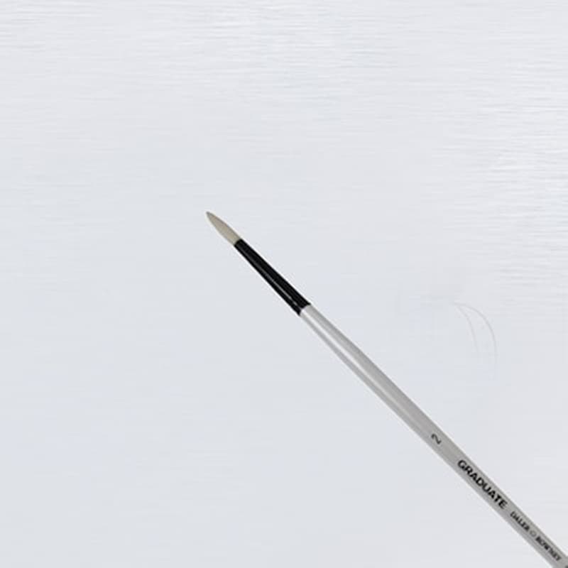 DALER ROWNEY Graduate Synthetic Bristle Round 2 Lh