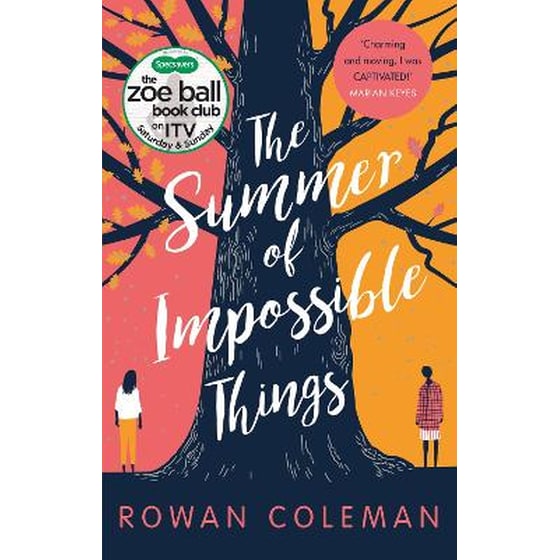 Summer of Impossible Things image 0