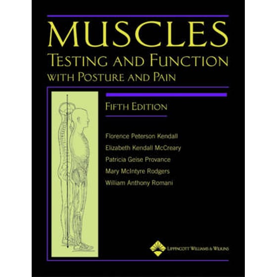 Muscles image 0