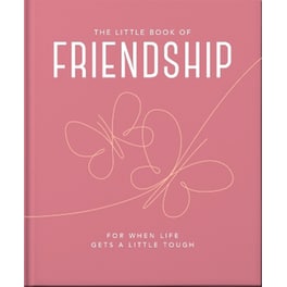 The Little Book of Friendship