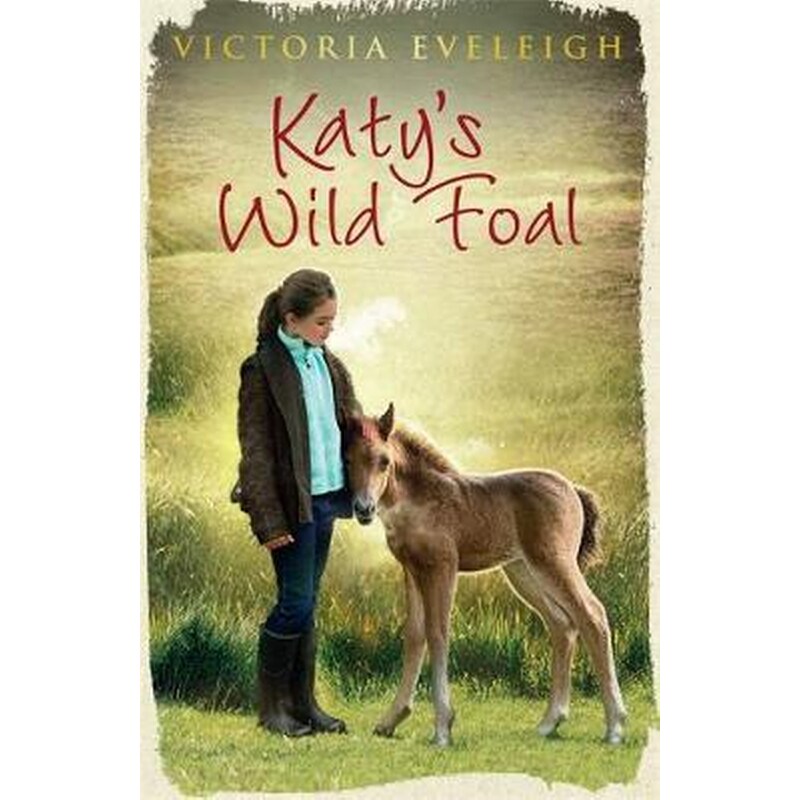 Katys Exmoor Ponies- Katys Wild Foal 1 1