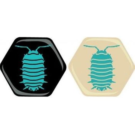 Γρίφος Extension HiveThe Pillbug Gen 42 image 1