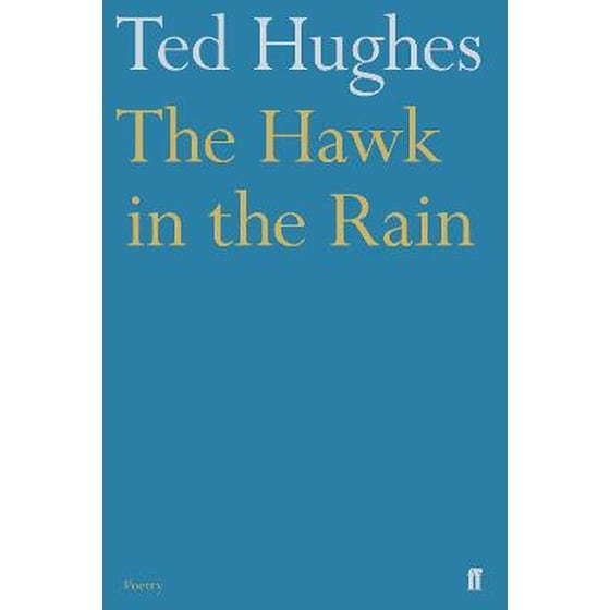 Hawk in the Rain image 0