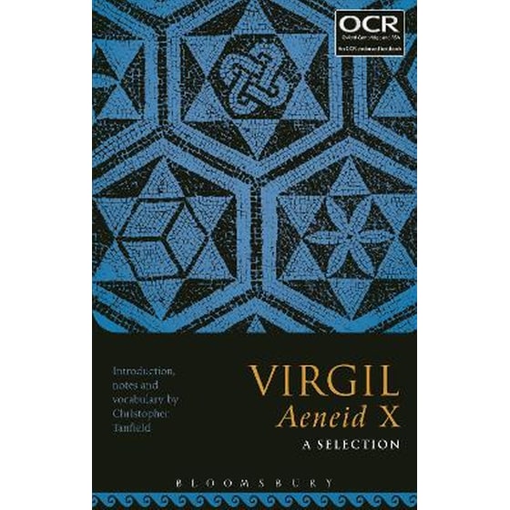 Virgil Aeneid X: A Selection image 0