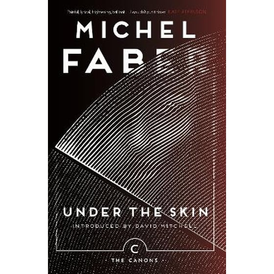 Under The Skin image 0