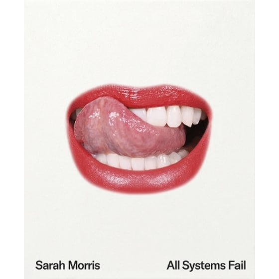 Sarah Morris: All Systems Fail image 0