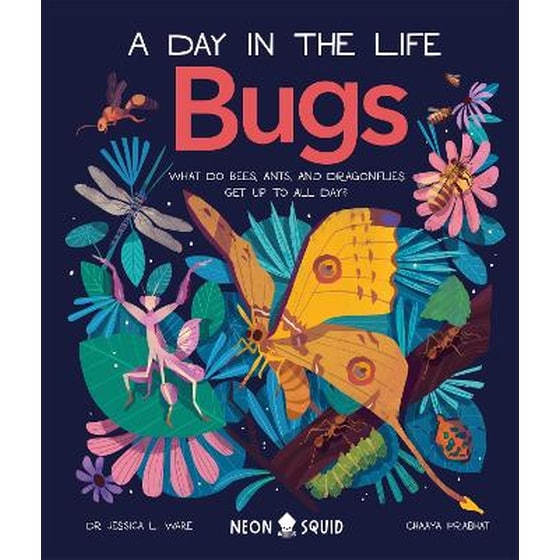 Bugs (A Day in the Life) image 0