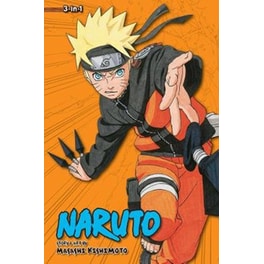 Naruto 10