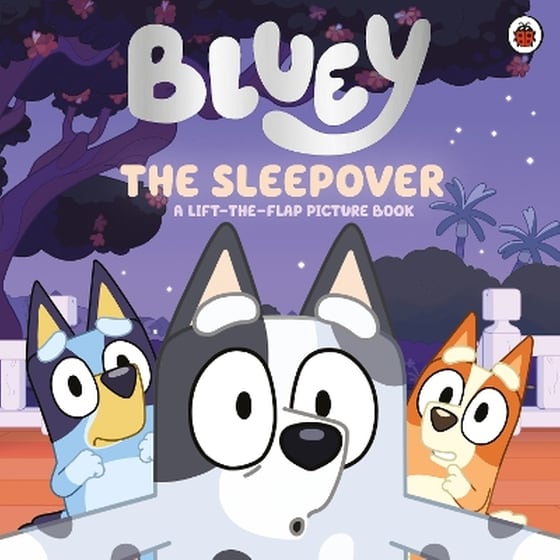 Bluey: The Sleepover image 0