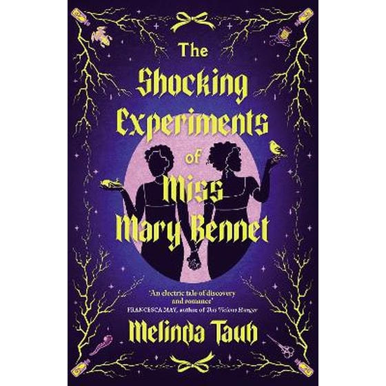 The Shocking Experiments of Miss Mary Bennet image 0