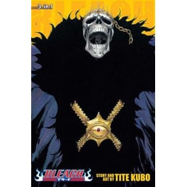 Bleach (3-in-1 Edition), Vol. 15