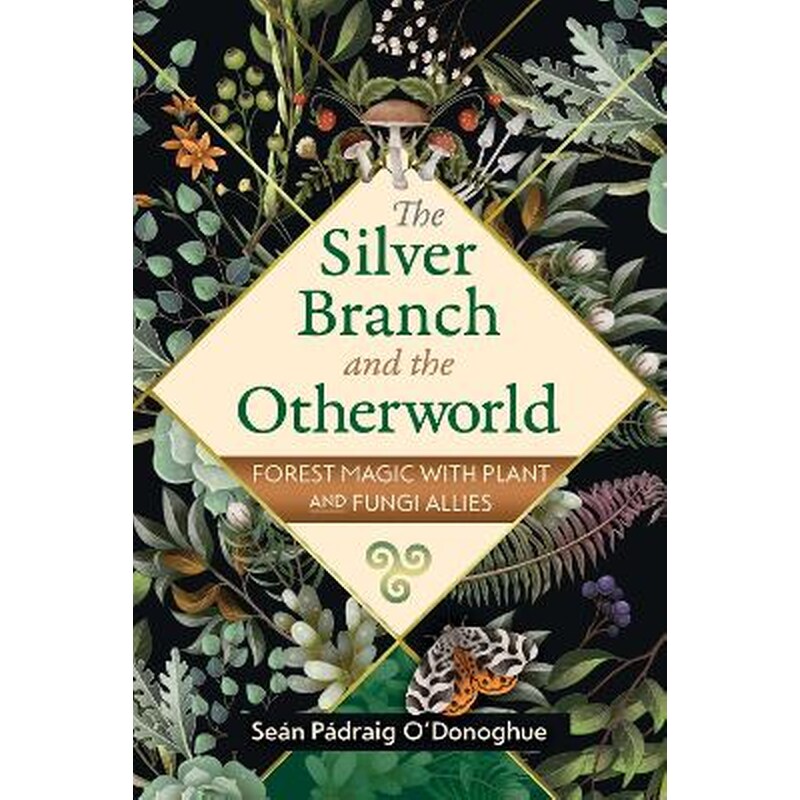 The Silver Branch and the Otherworld