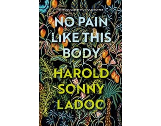 No Pain Like This Body image 0