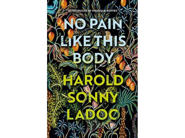 No Pain Like This Body