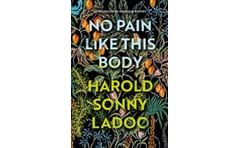 No Pain Like This Body