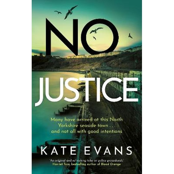 No Justice image 0