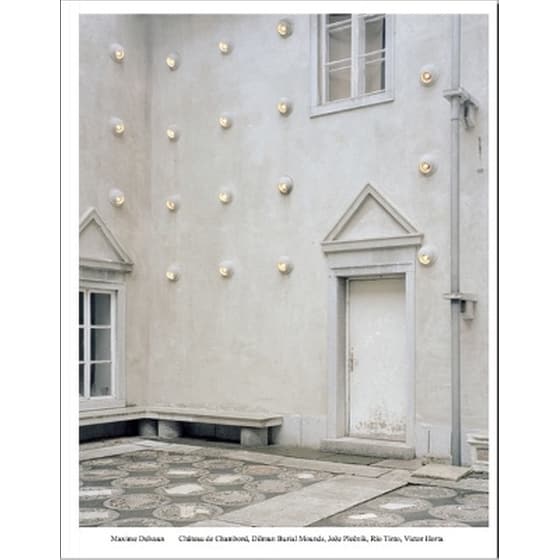Maxime Delvaux image 0