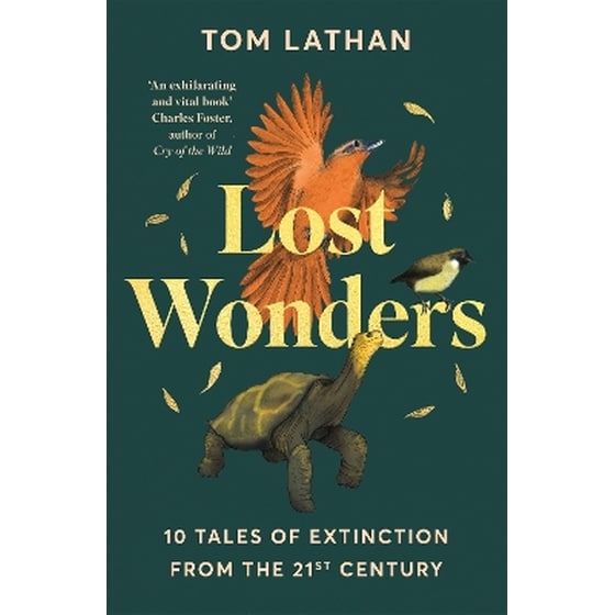 Lost Wonders image 0