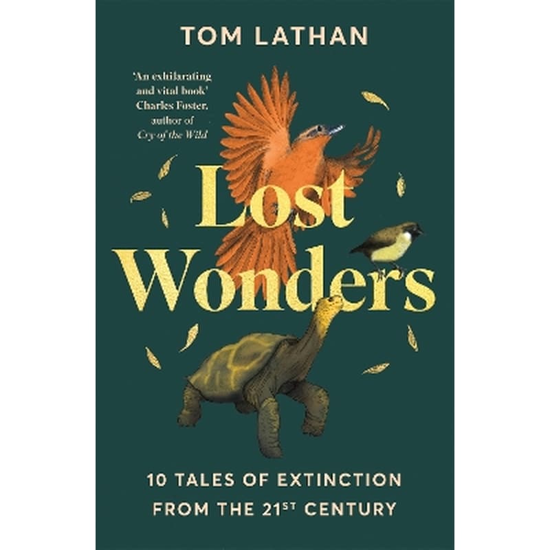 Lost Wonders