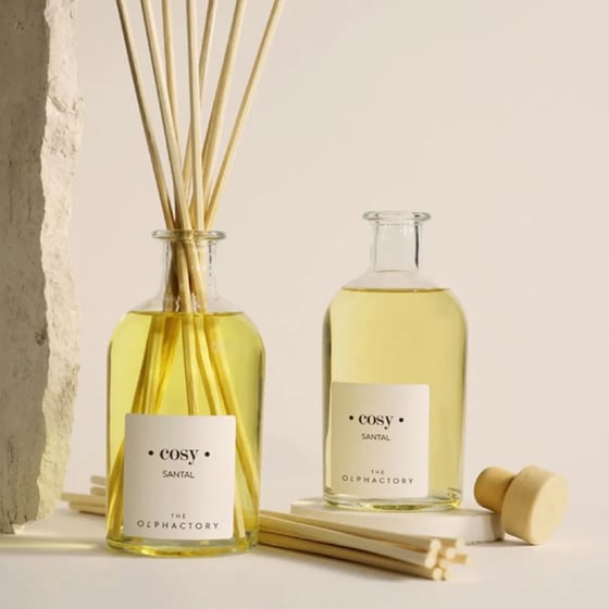 Diffuser Ambientair The Olphactory Santal 100ml - Cosy image 4