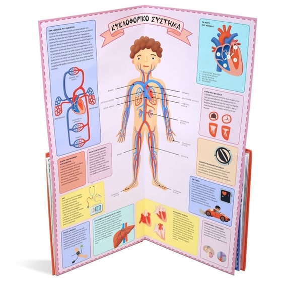 Ο άτλαντας του ανθρώπινου σώματος image 3