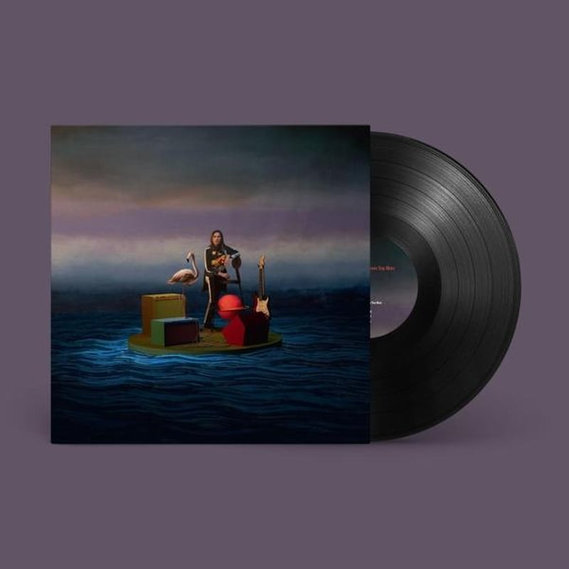 Nobody Loves You More (LP)