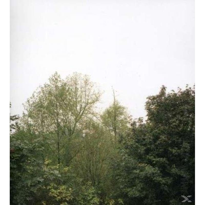 The Soul Of The Rainbow And