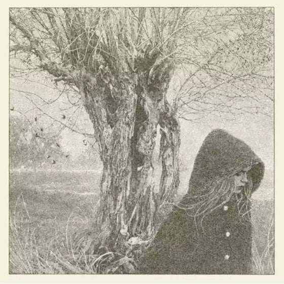 Between The Earth & Sky (LP) image 0