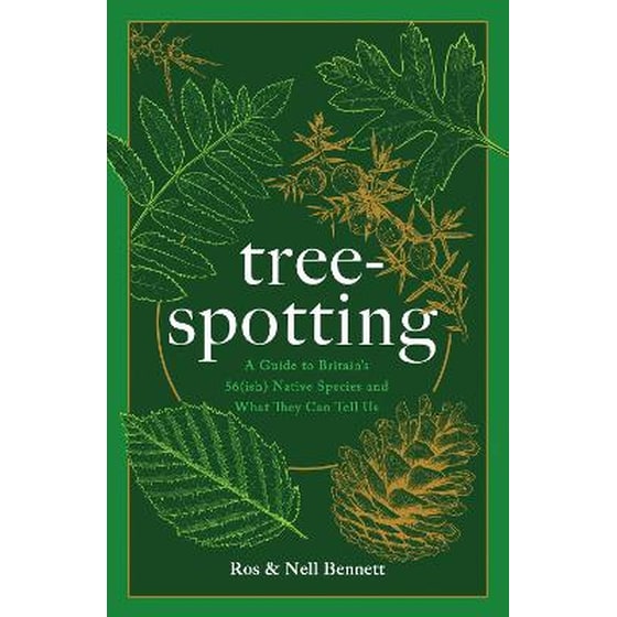 Tree-spotting image 0