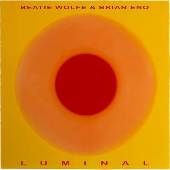 Luminal image 0