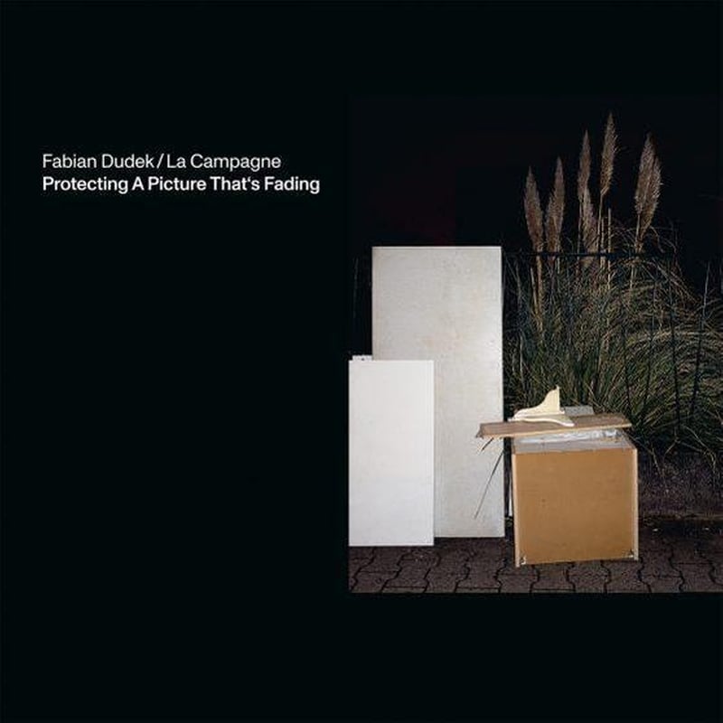 Protecting A Picture Thats Fading