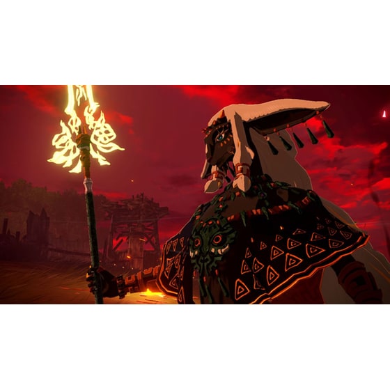 Hyrule Warriors: Age of Imprisonment - Nintendo Switch 2 image 4