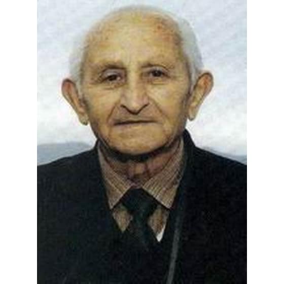 Το γενεαλογικό δέντρο της Λεσινίτσας image 1