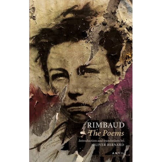 Arthur Rimbaud- The Poems image 0