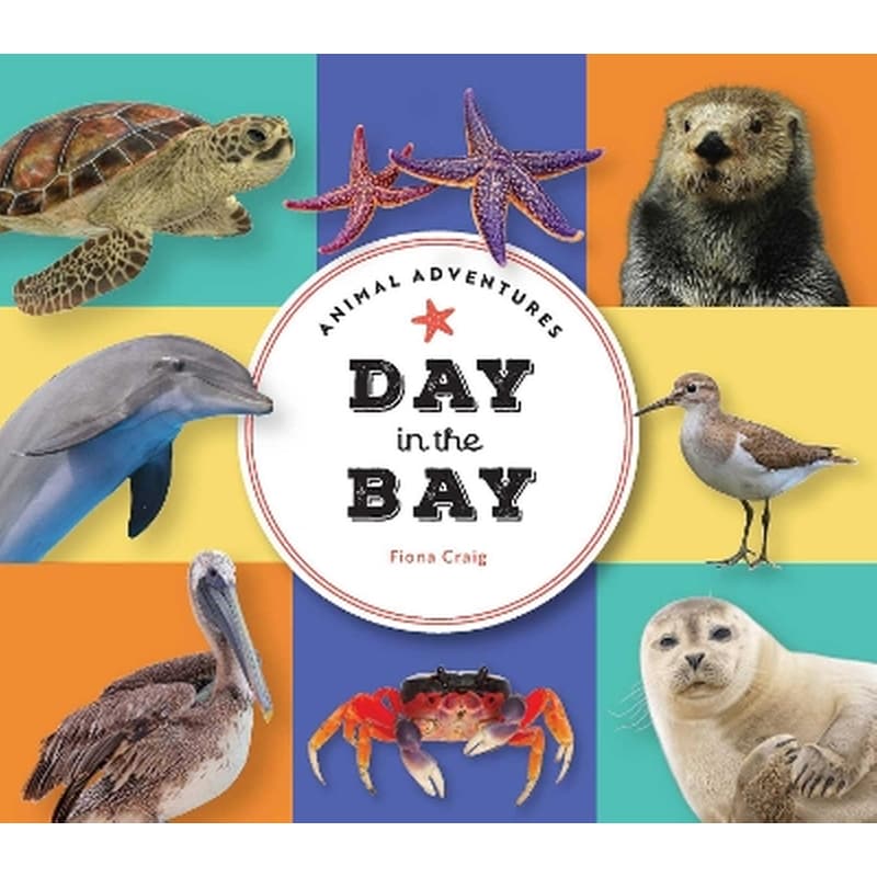 Animal Adventures: Day in the Bay
