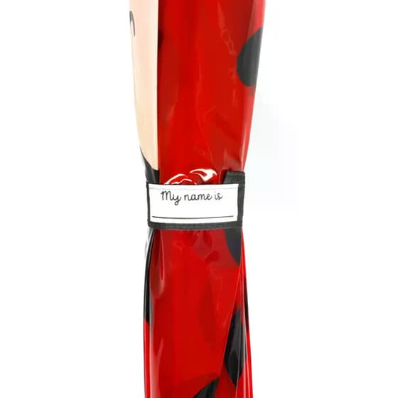 Ομπρέλα&nbsp;Legami Ladybug image 1