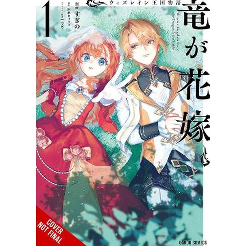 Tale of the Wizrain Kingdom: The Dragon Is the Bride, Vol. 1