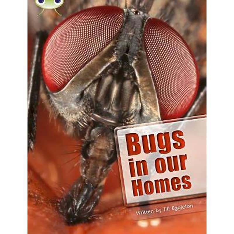 Bug Club Independent Non Fiction Year Two Lime A Bugs in our Homes