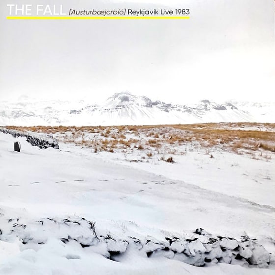 Austurbaejsrbio-Reykjavik Live 1983 image 0