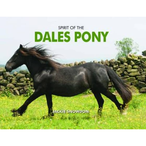 Spirit of the Dales Pony image 0