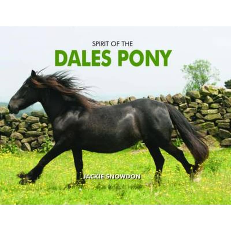 Spirit of the Dales Pony
