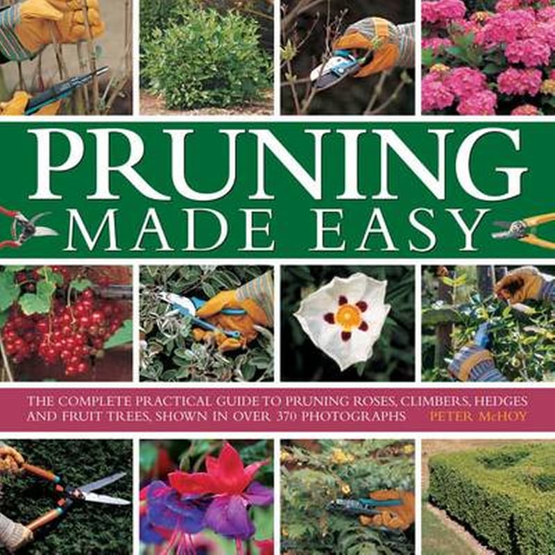 Pruning Made Easy