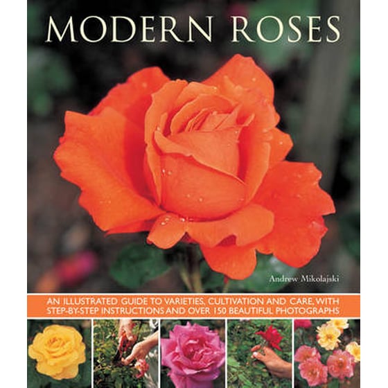 Modern Roses image 0