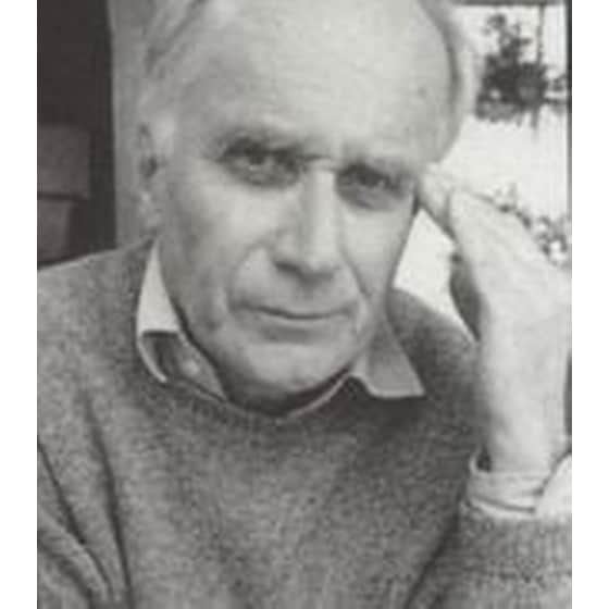 Οι μέλισσες και η σφήκα image 1