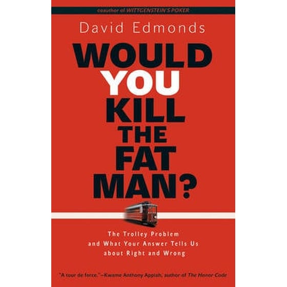 Would You Kill the Fat Man? image 0