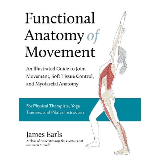 Functional Anatomy of Movement image 0